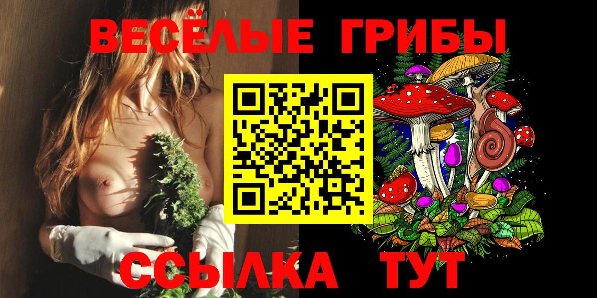Псилоцибиновые грибы прущие грибы Ахтубинск