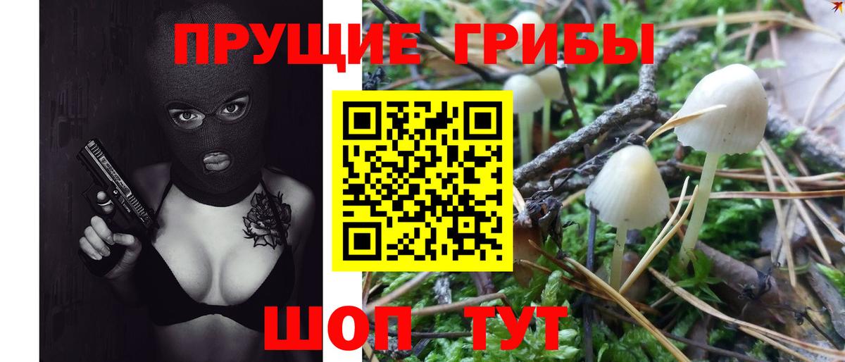 Ахтубинск  Псилоцибиновые грибы Psilocybe  Вход с VPN 